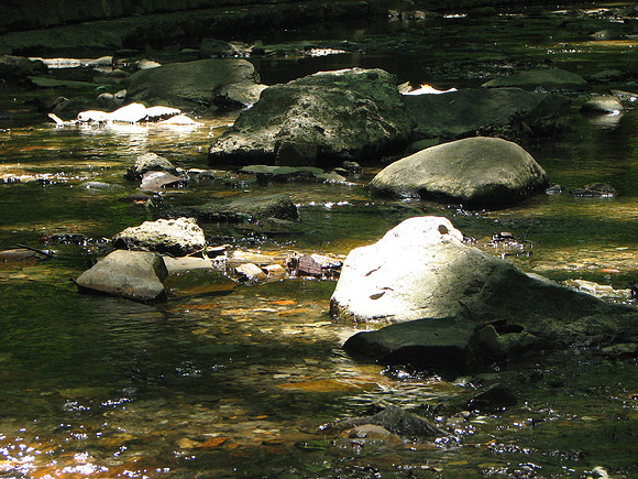 Porter Creek